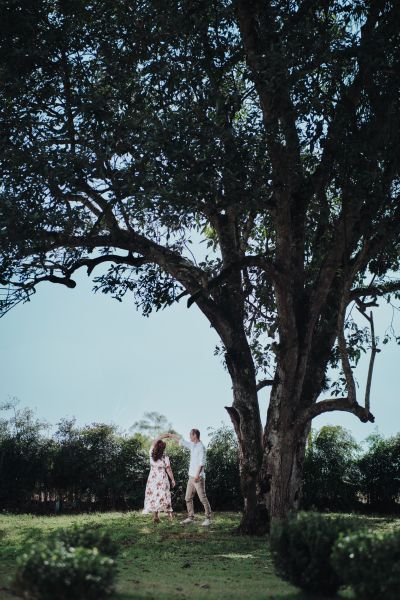 Carolina & Davi - Pré Wedding — foto 10